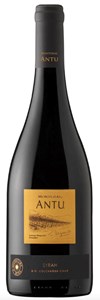 MontGras 12 ANTU Syrah 2012